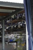 Stadtrundfahrt durch Auckland