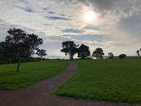 Stadtrundfahrt durch Auckland