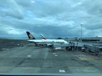 Flug von Auckland nach Singapur