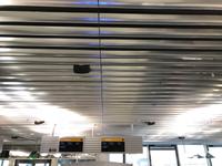 Flug von Frankfurt nach Dresden