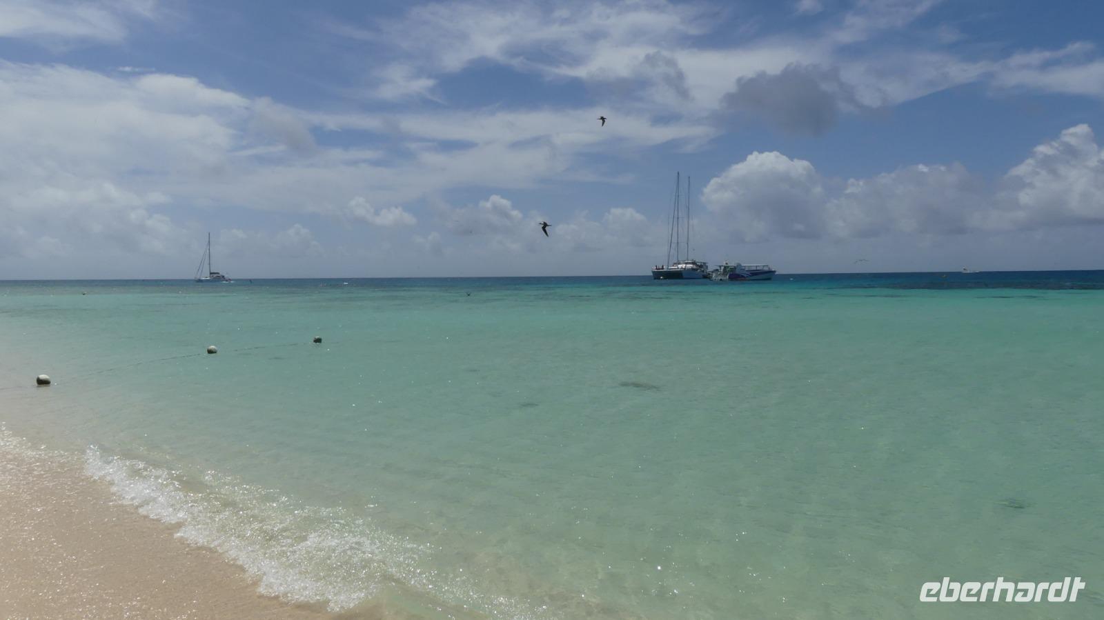 Ausflug Great Barrier Reef