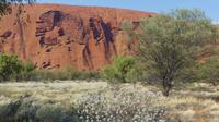 Wanderung am Uluru, hier das 