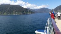 Zufahrt zum Doubtful Sound
