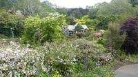 Otago Halbinsel, Glenfalloch Woodland Garten