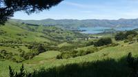 Akaroa, Ausflug
