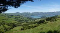 Akaroa, Ausflug