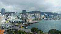 Wellington, Waterfront vom Dach des Nationalmuseus