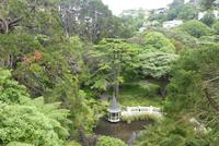 Wellington, Botanischer Garten