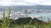 Wellington, Blick vom Mount Victoria
