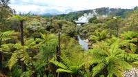 Thermalfelder von Whakarewarewa in Te Puia (Rotorua)