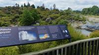 Thermalfelder von Whakarewarewa in Te Puia (Rotorua)
