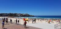 Bondi Beach 