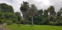 Royal Botanic Gardens Melbourne