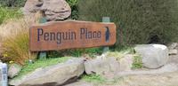 Penguin Place 