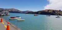 Akaroa 