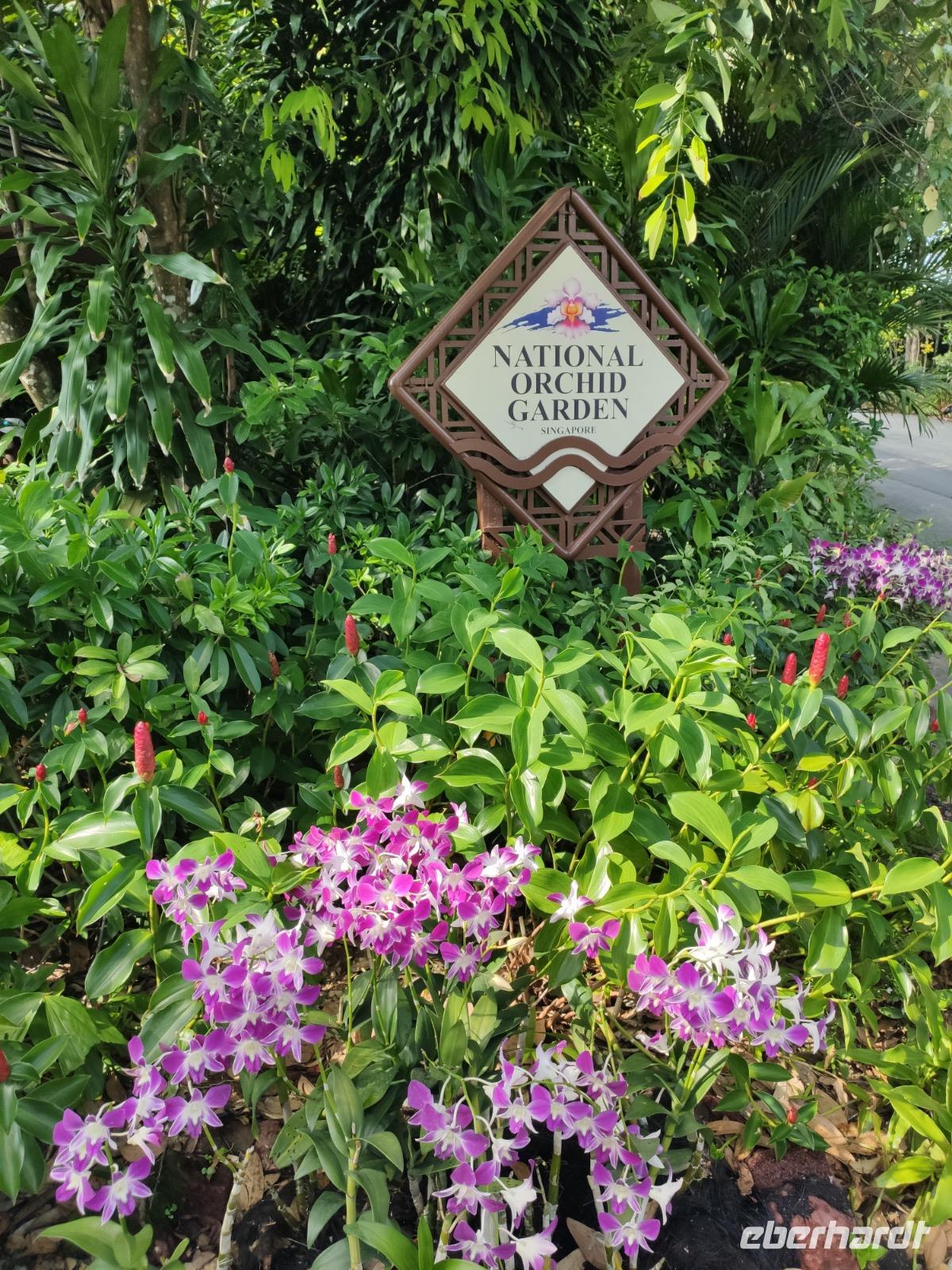 Nationaler Orchideen Garten