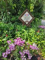 Nationaler Orchideen Garten