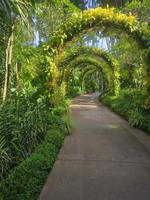 Im grünen Tunnel...