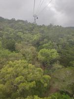 Auf der Seilbahn durch den Regenwald