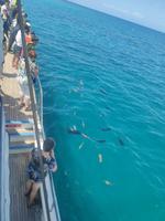 Fischfütterung an Bord der Ocean Spirit