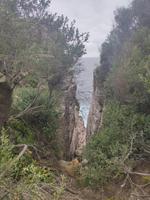 Schlucht an der Watsons Bay