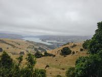 Im Hinterland von Akaroa