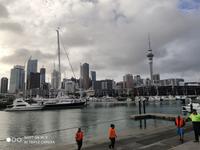 Skyline von Auckland
