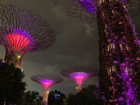 2. Reisetag – Abendspaziergang in Singapur – Gardens by the Bay