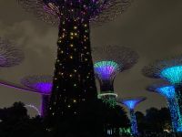 2. Reisetag – Abendspaziergang in Singapur – Gardens by the Bay