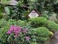 3. Reisetag – Stadtrundfahrt in Singapur – Botanischer Garten