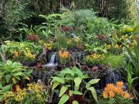 3. Reisetag – Stadtrundfahrt in Singapur – Botanischer Garten