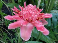 3. Reisetag – Stadtrundfahrt in Singapur – Botanischer Garten