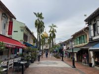 3. Reisetag – Stadtrundfahrt in Singapur – Bussorah Street mit Blick zur Masjid Sultan