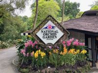 3. Reisetag – Stadtrundfahrt in Singapur – Botanischer Garten