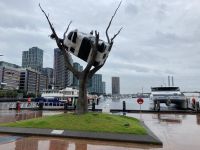 4. Reisetag – Stadtrundfahrt in Melbourne – Docklands