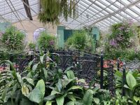 4. Reisetag – Stadtrundfahrt in Melbourne – Fitzroy Gardens