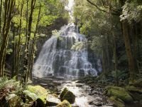 7. Reisetag – Tasmanien – Spaziergang zu den Nelson Falls