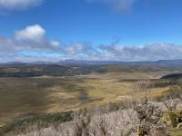 8. Reisetag – Tasmanien – Black Bluff Lookout