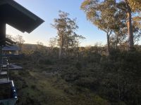 8. Reisetag – Tasmanien – Abendstimmung am Hotel