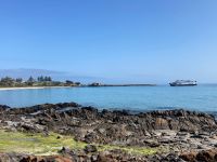 12. Reisetag – Kangaroo Island – Penneshaw Beach