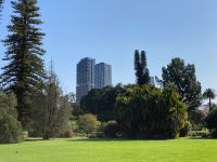 12. Reisetag – Adelaide – Botanischer Garten