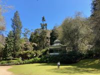 10. Reisetag – Tasmanien – Cataract Gorge in Launceston