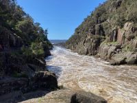 10. Reisetag – Tasmanien – Cataract Gorge in Launceston
