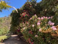 10. Reisetag – Tasmanien – Cataract Gorge in Launceston