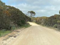 11. Reisetag – Ausflug nach Kangaroo Island