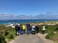 11. Reisetag – Ausflug nach Kangaroo Island – Seelöwenkolonie