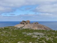 11. Reisetag – Ausflug nach Kangaroo Island – Remarkable Rocks