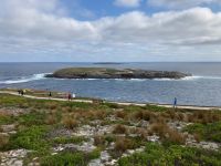 11. Reisetag – Ausflug nach Kangaroo Island – Admirals Arch