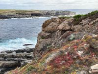 11. Reisetag – Ausflug nach Kangaroo Island – Admirals Arch