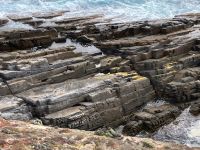 11. Reisetag – Ausflug nach Kangaroo Island – Pelzrobben am Admirals Arch